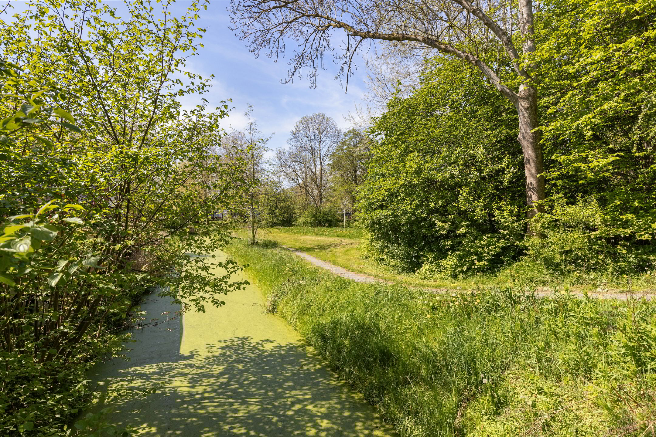 Photo 42 of Bunnemaheerd 110