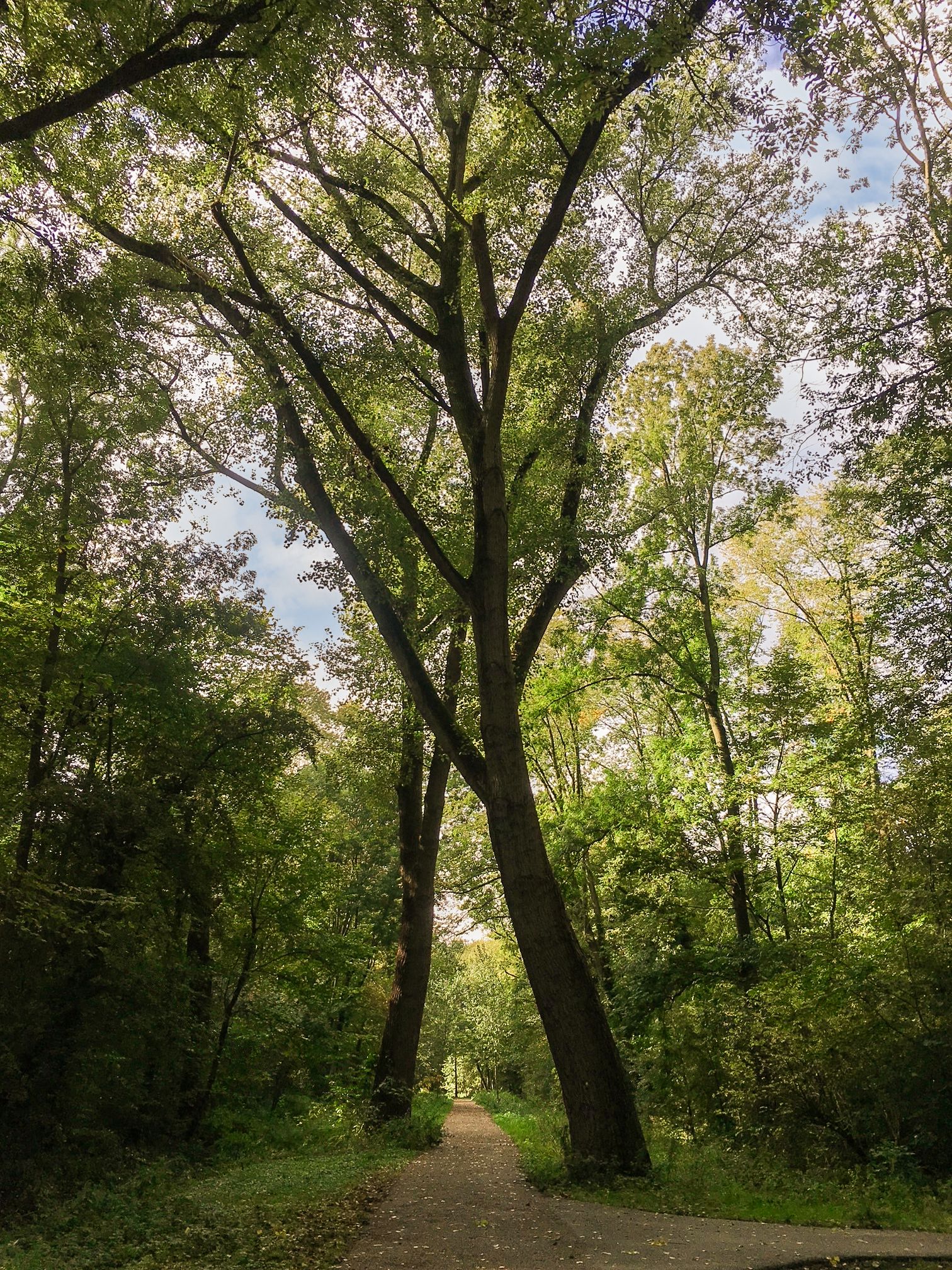 Photo 30 of Hoekschewaardweg 84