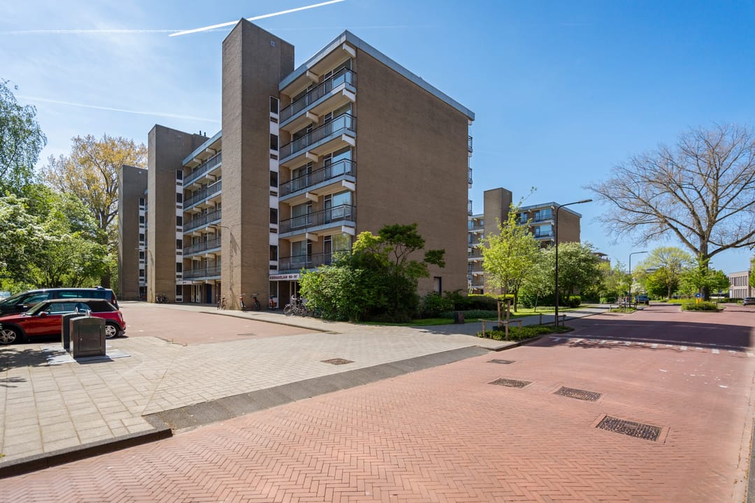 Photo 1 of Boerhaavelaan 251