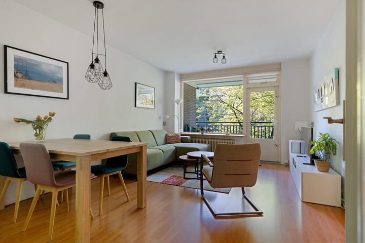 Foto 2 van Boerhaavelaan 251