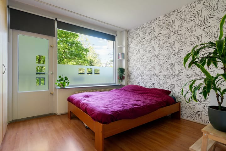 Foto 3 van Boerhaavelaan 251