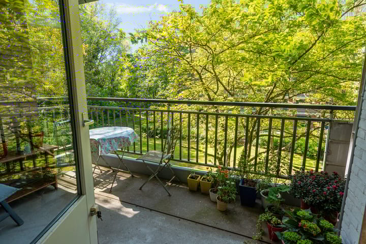 Foto 5 van Boerhaavelaan 251