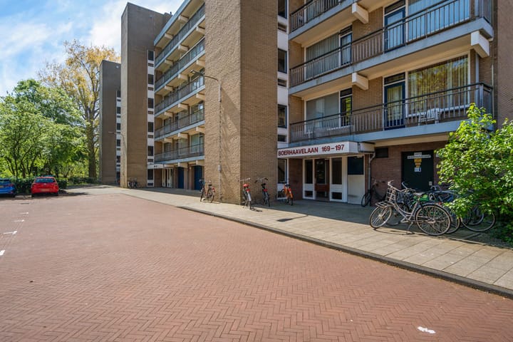 Foto 6 van Boerhaavelaan 251