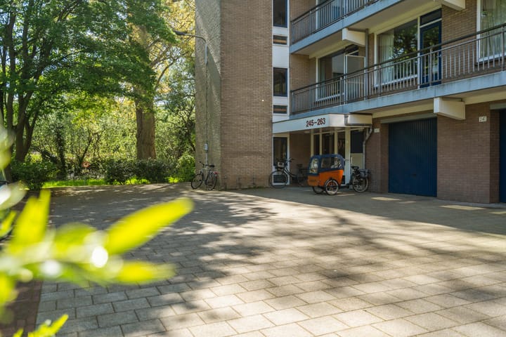 Foto 7 van Boerhaavelaan 251