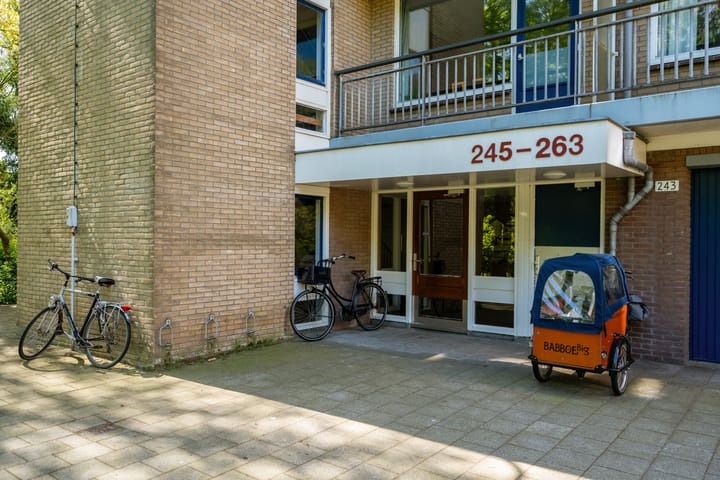 Foto 8 van Boerhaavelaan 251