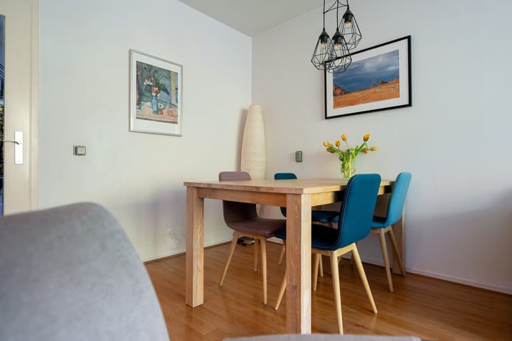 Foto 19 van Boerhaavelaan 251