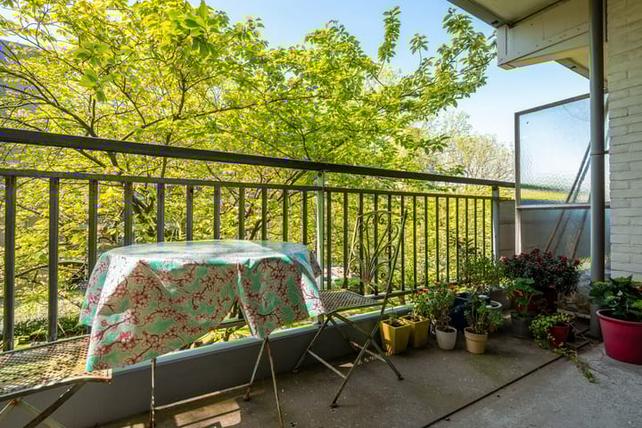 Foto 24 van Boerhaavelaan 251