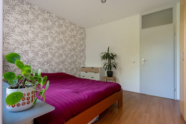 Foto 35 van Boerhaavelaan 251