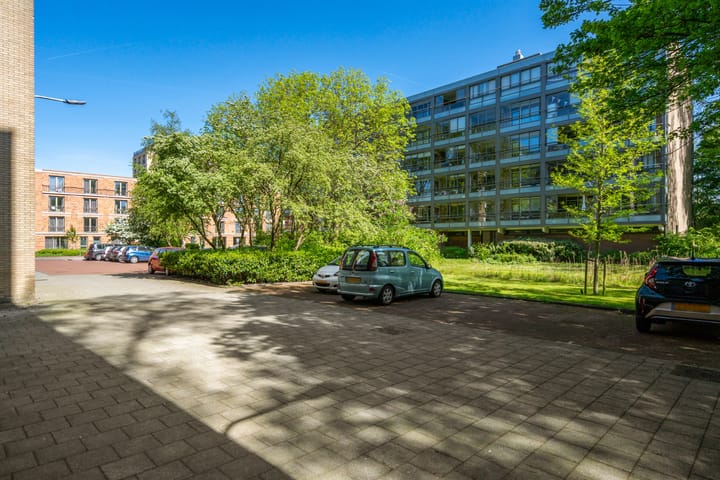 Foto 37 van Boerhaavelaan 251