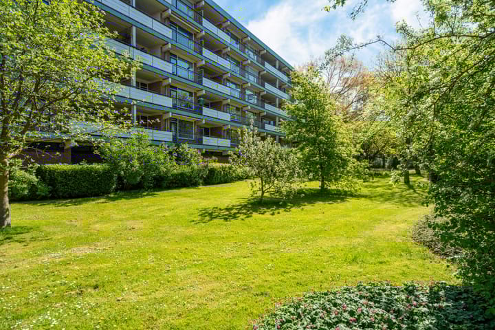 Foto 38 van Boerhaavelaan 251