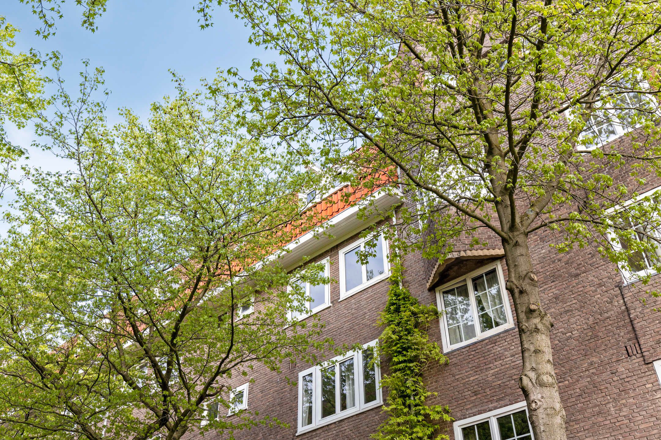 Foto 27 van IJselstraat 38-3