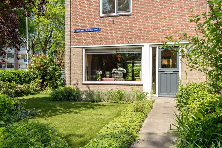 Foto 46 van Abdij van Egmondstraat 49