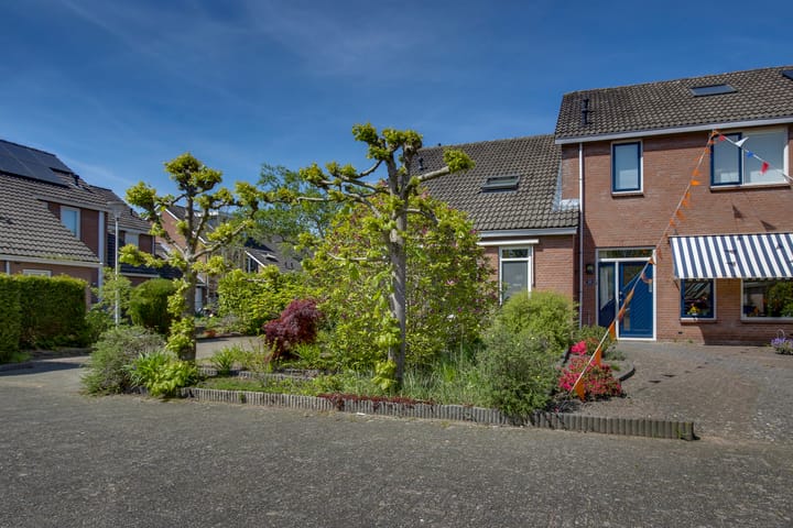 Foto 11 van Zilverschoon 18