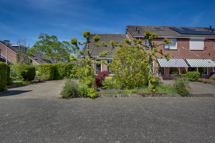 Foto 12 van Zilverschoon 18