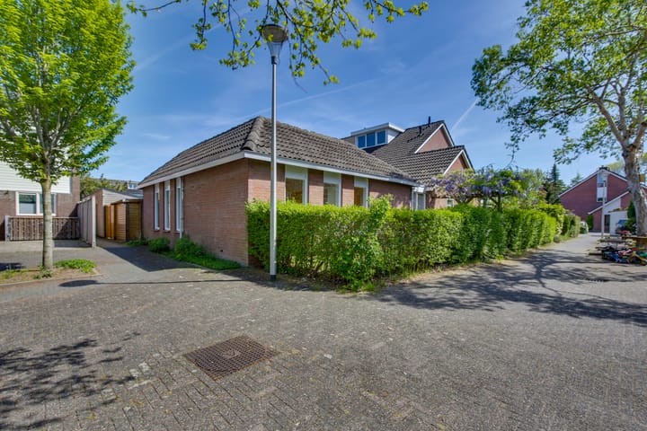 Foto 14 van Zilverschoon 18