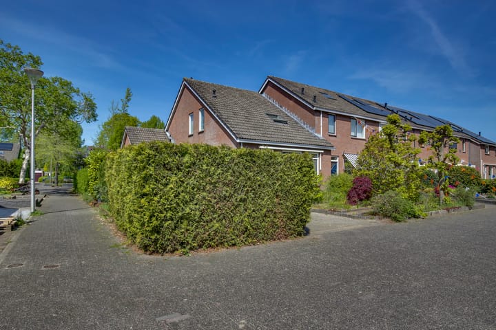 Foto 15 van Zilverschoon 18