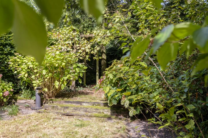 Foto 36 van Sniphof 6