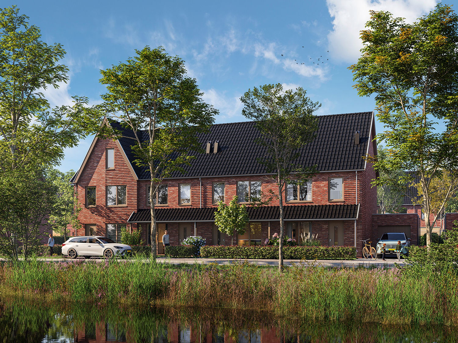Rijwoning, Heerenveen, 8448, Friesland, Nederland  