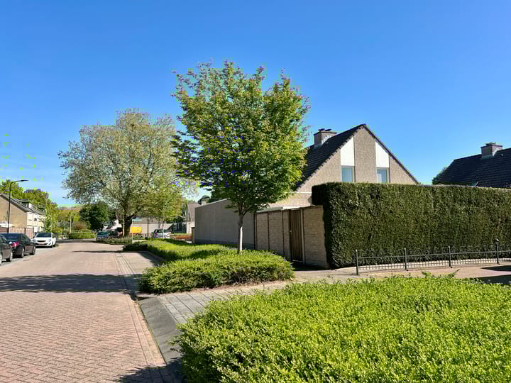 Foto 31 van Zonnebloemstraat 10