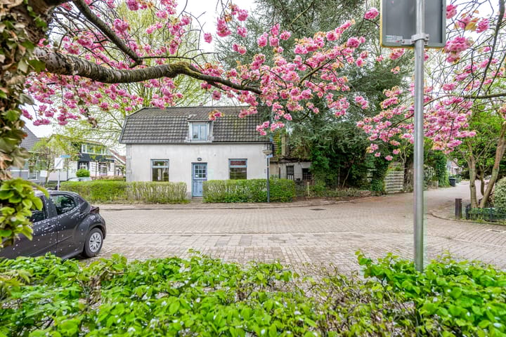 Foto 14 van Westerlaan 30