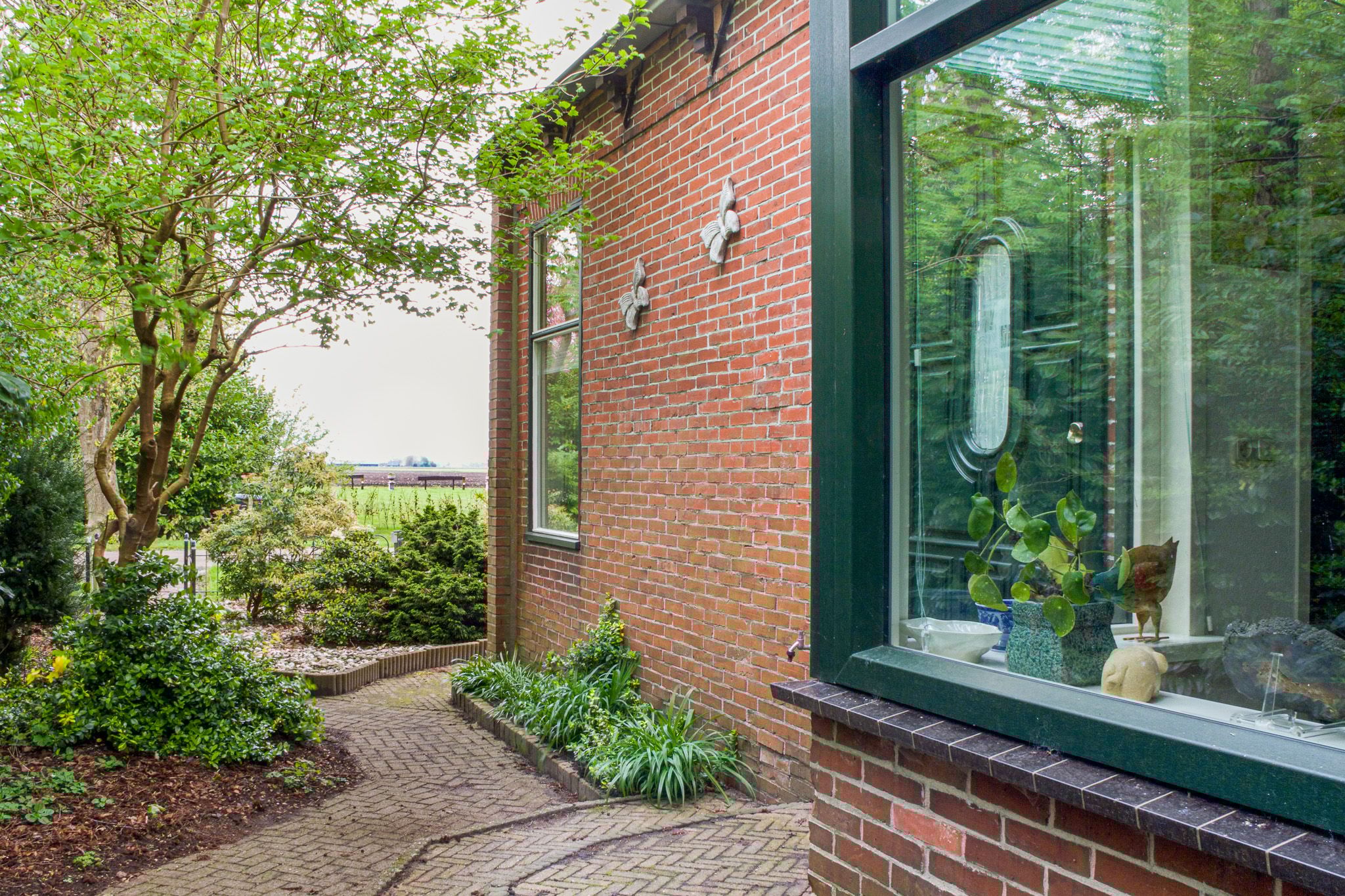 Photo 3 of Noordercolonie 41