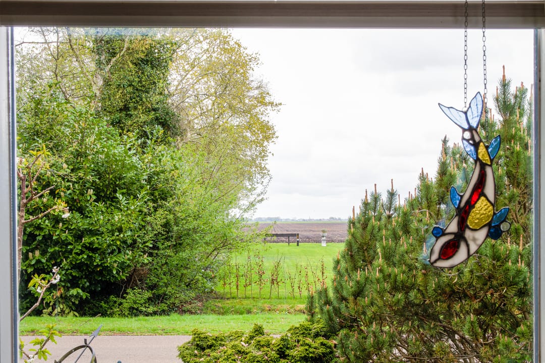 Photo 7 of Noordercolonie 41