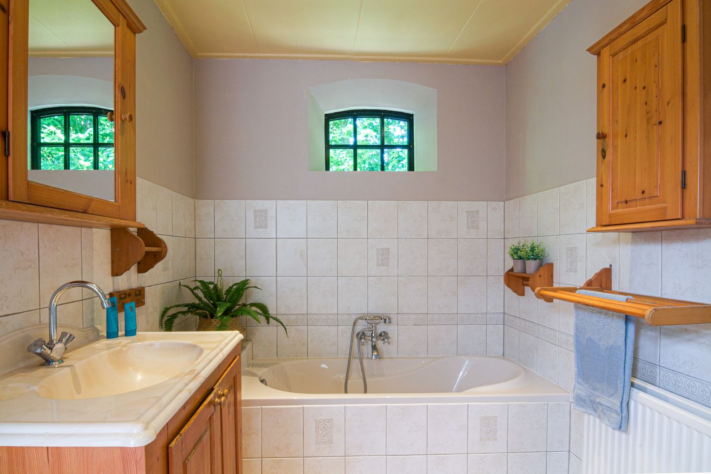 Photo 19 of Noordercolonie 41