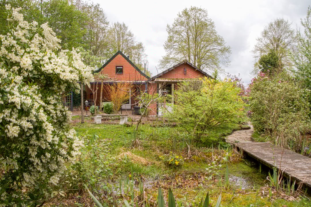 Photo 32 of Noordercolonie 41