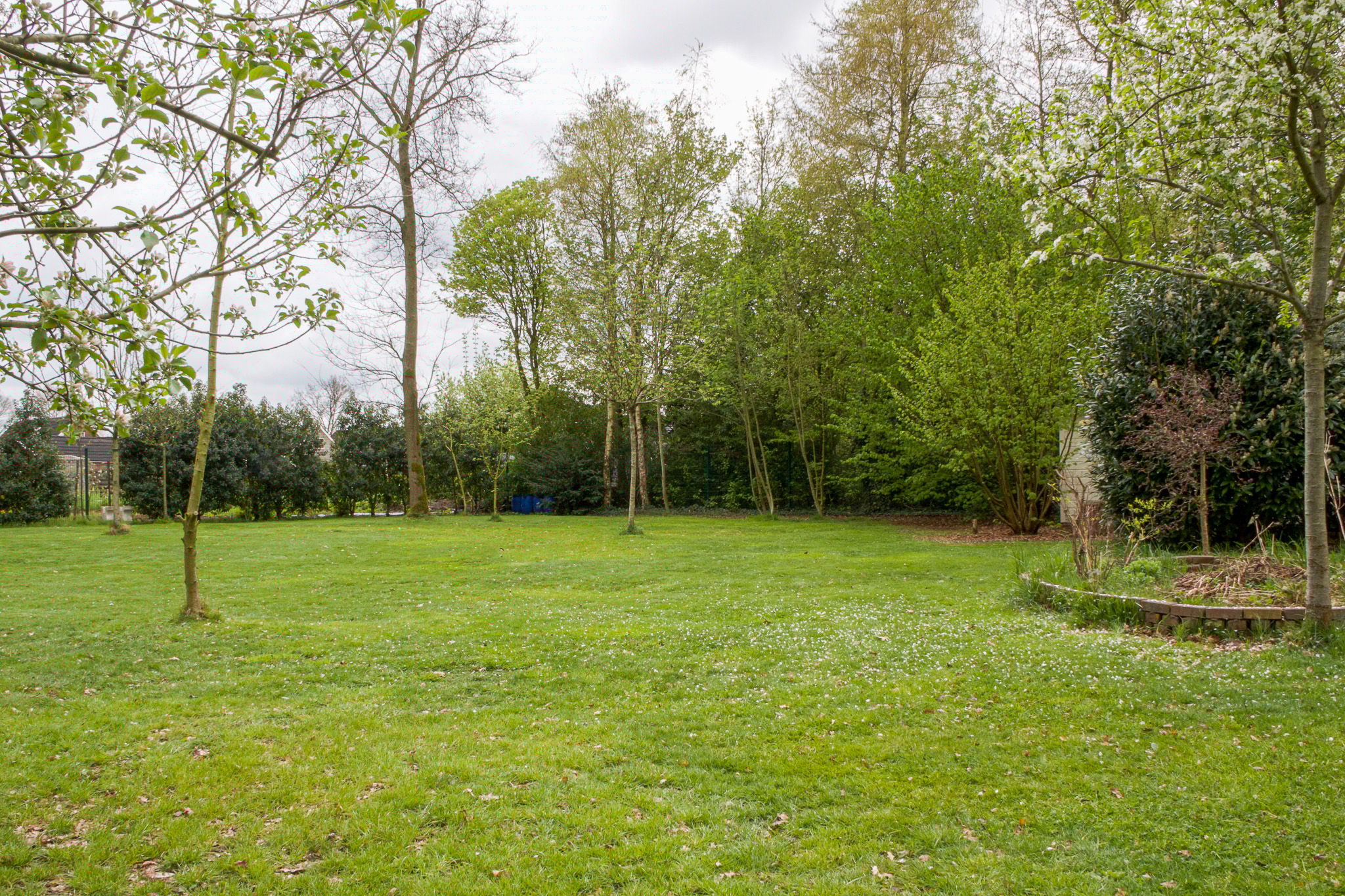 Photo 33 of Noordercolonie 41