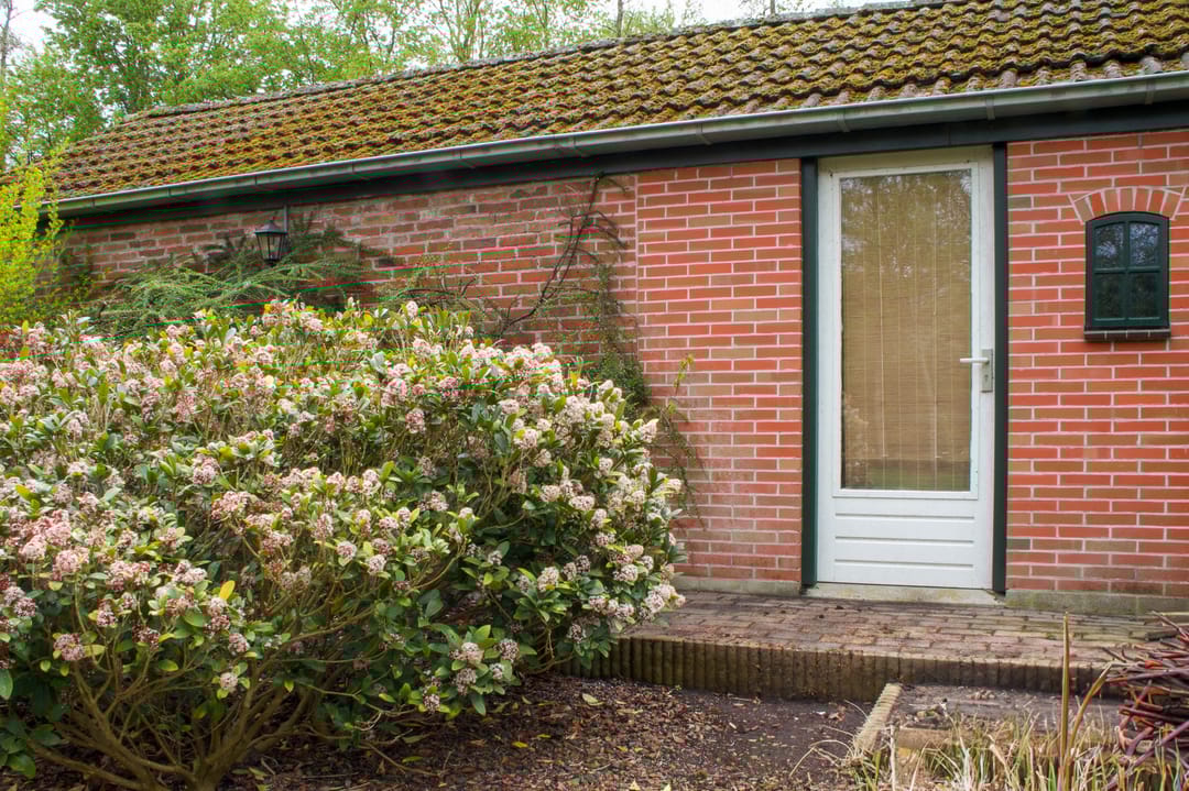 Photo 37 of Noordercolonie 41