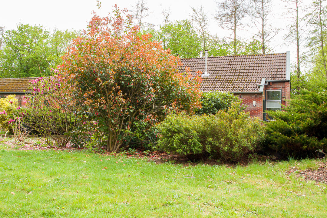 Photo 38 of Noordercolonie 41