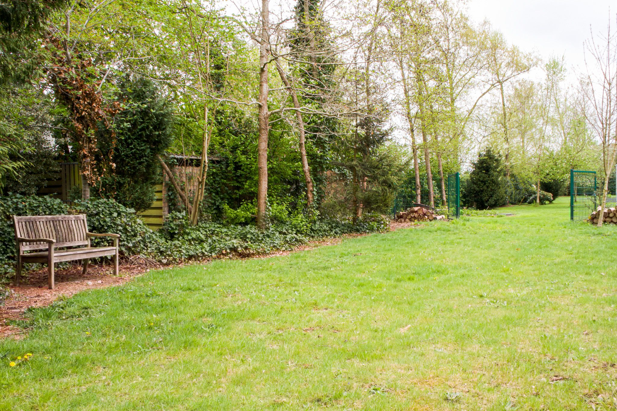 Photo 39 of Noordercolonie 41