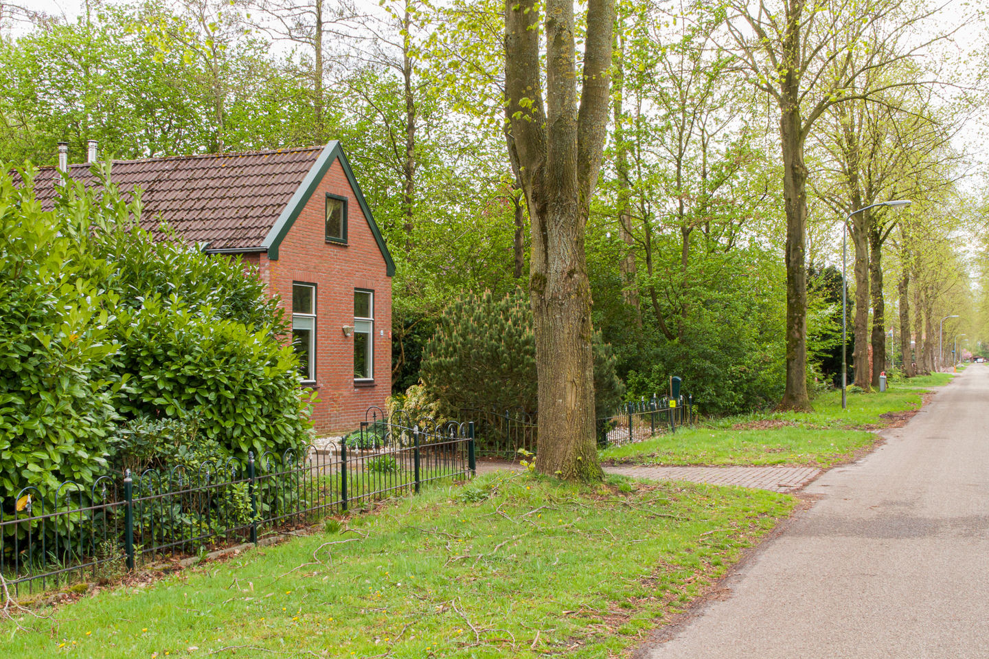 Photo 44 of Noordercolonie 41