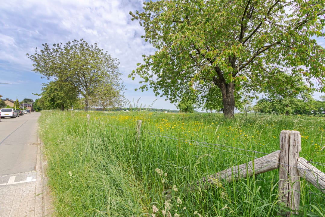 Foto 41 van van der Heydenstraat 24