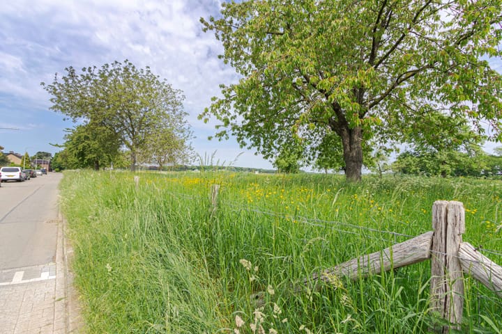 Foto 41 van van der Heydenstraat 24