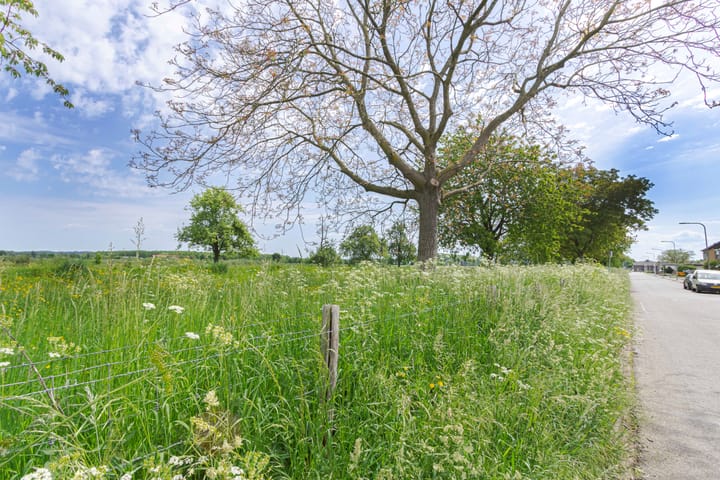 Foto 42 van van der Heydenstraat 24