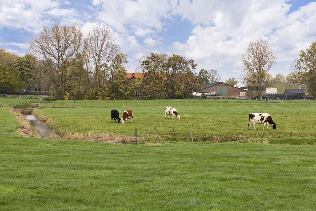 Foto 11 van Bovenkerkerweg