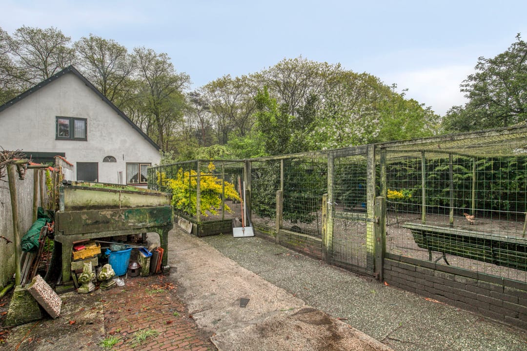 Photo 32 of Soesterbergsestraat 162
