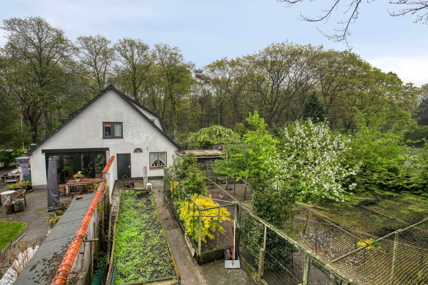 Photo 34 of Soesterbergsestraat 162