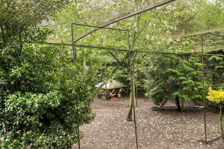 Foto 35 van Soesterbergsestraat 162