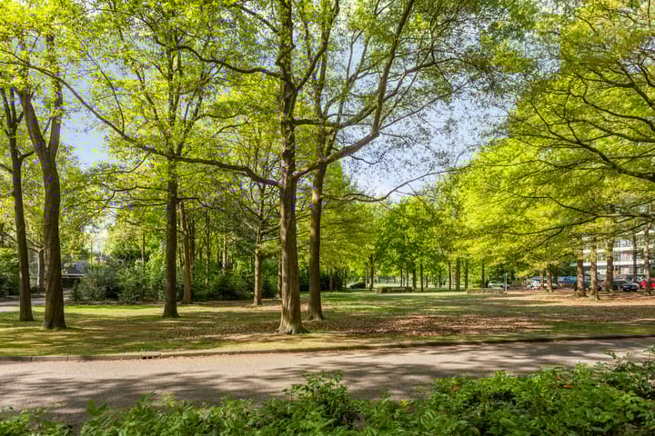 Foto 28 van Sibeliuspark 756