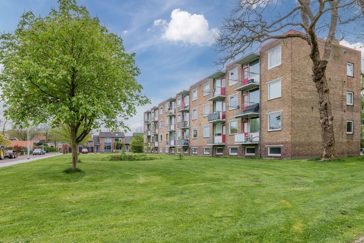 Foto 28 van Gerard Doustraat 81