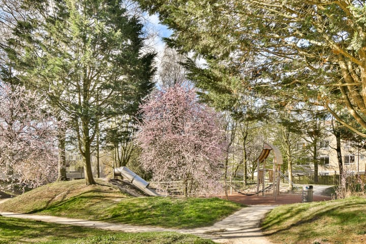 Foto 29 van Volharding 12