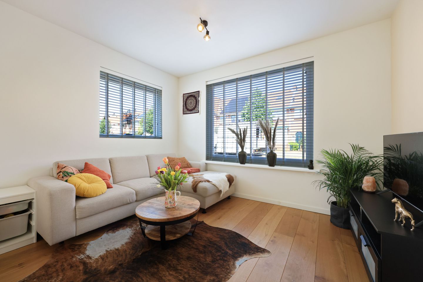 Foto 4 van Burgemeester Rambonnetlaan 38