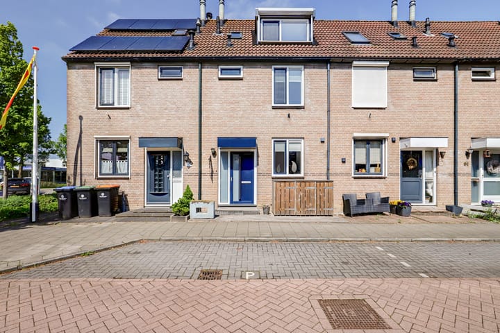 undefined main image
