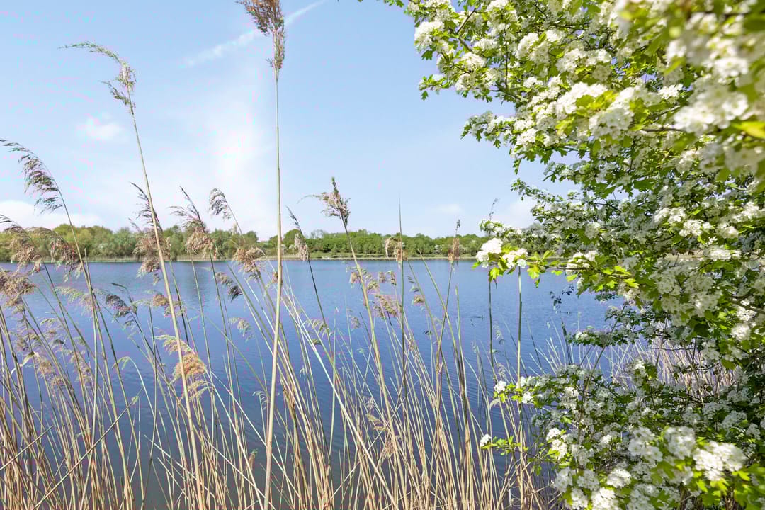 Foto 2 van Bronsbergen 25-R117