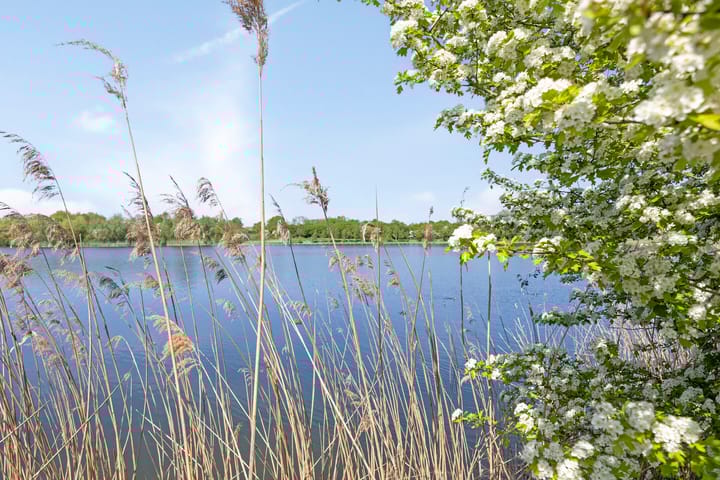 Foto 2 van Bronsbergen 25-R117