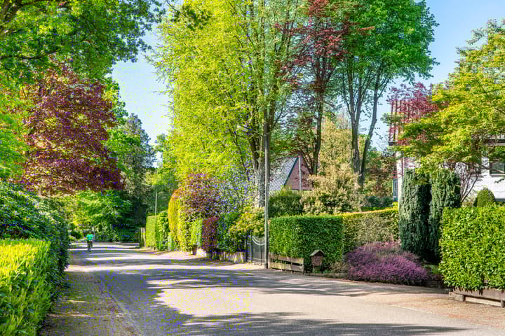 Photo 29 of Koningslaan 30-A