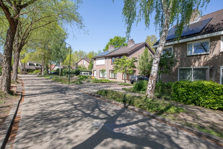 Photo 36 of Johann Strausslaan 32