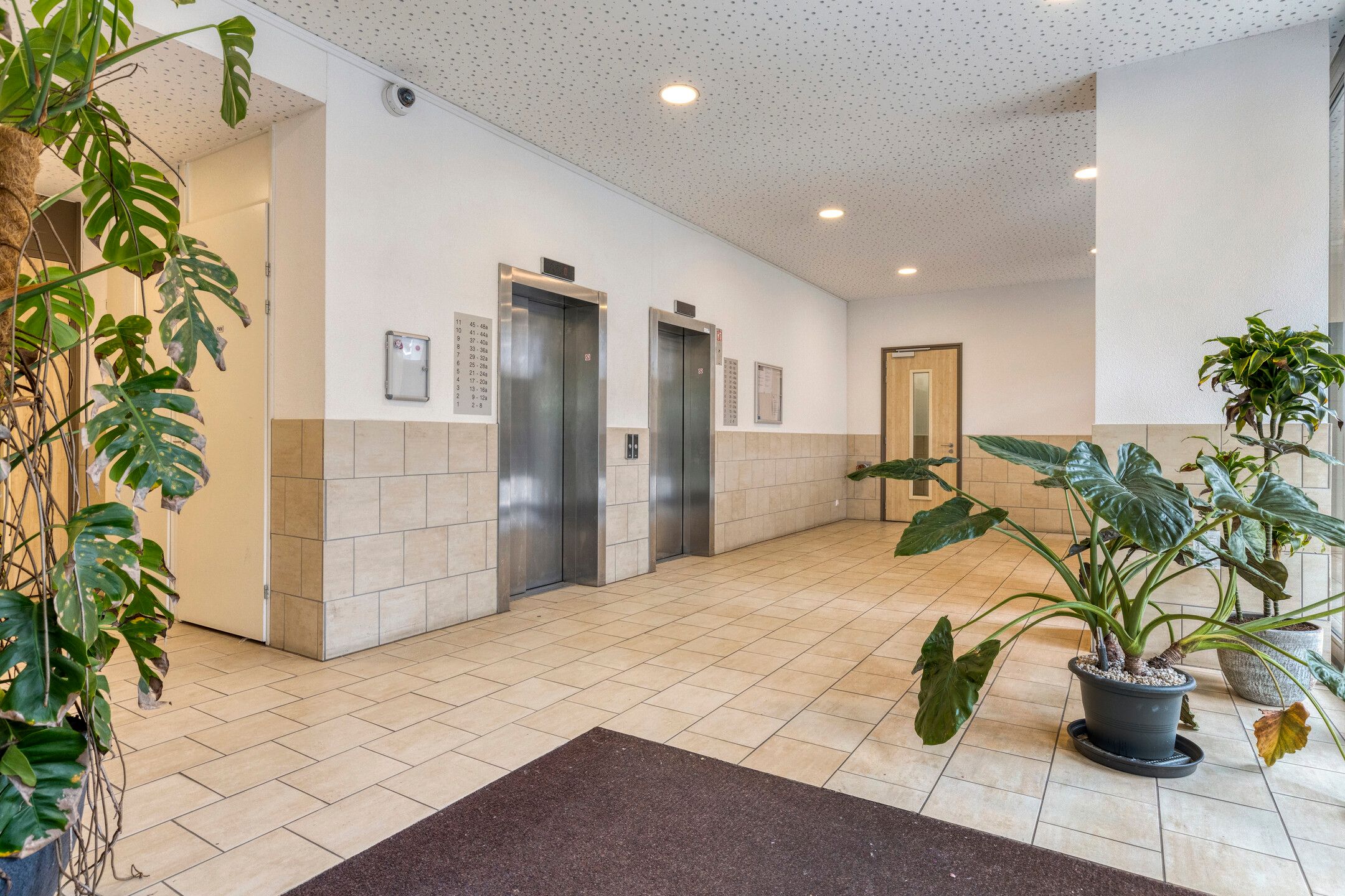 Foto 24 van Teakhout 44